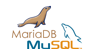 MySQL and Maria DB connection with Dart language